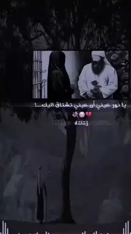 بيــن العــقل والــقلــب مــوضــوع أنــت عــنــوانــه🌍🥺♥️#خطيبتي 🥹🌹 #روحي ــ انتي ــ قلبي ــ🍯🌸 عشقي الوحيد 🫀🫂# مالي ــ خلق ــ احط ــ هاشتاقات ــ بس هيــــج 🙂🫶🏻@اެمَيَࢪِتِهٰہٰ𝐀 