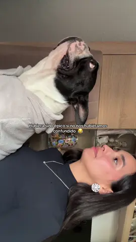 #frenchiesoftiktok 