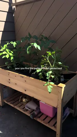 Enjoying the fruits of our labor. Garden bed is from @Amazon. The exact bed is linked in my Amazon storefront #gardenbed #raisedgardenbed #gardening101 #diyproject #amazonfinds 