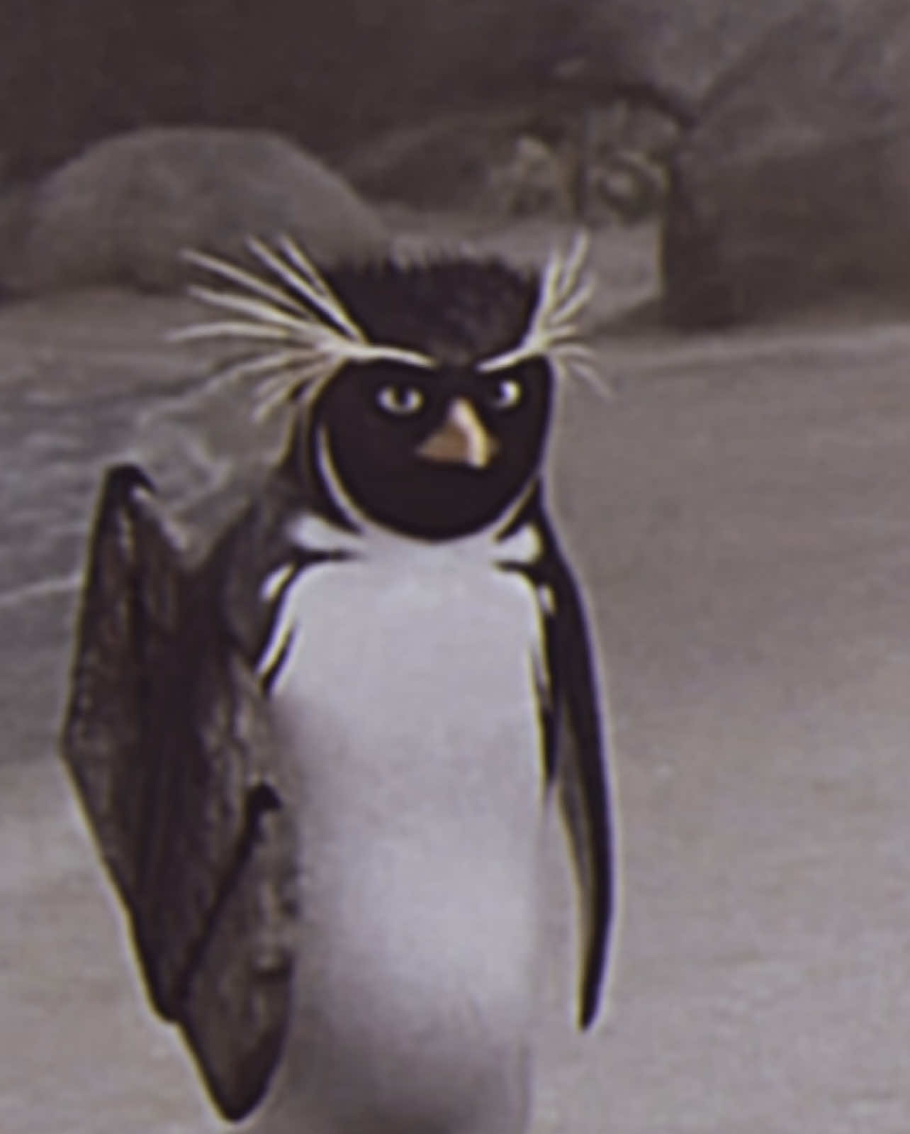 Nunca e ganado nada en toda mi vida 🥀 #surfsup #literallyme 