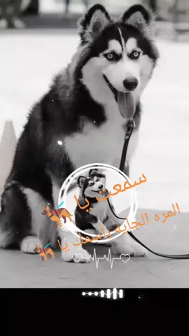 يسعد دين المواقف ال بتعرفك حقيقه الناس الوسخه ال بتدخل حياتك بالغلط 🫡 بس عادى شقلب واقلب ويامرحب  بالجاى 🤭 روح الداهية 🥀🖤