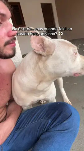 Minha surdinha ouviu? 🤣 #CachorraSurda #PetTikTok #Viral #FYP #HumorPet