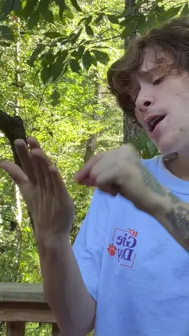 Anotha #hamilton #aaronburr 