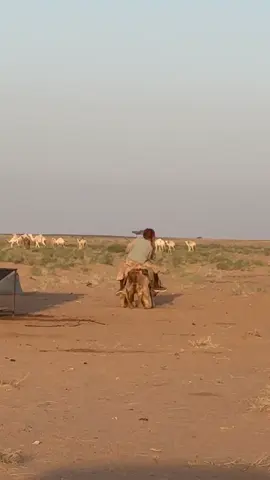 الترند الجديد #parati #عفيف #اكسبلور #greenscreen #عطايا_الله🐪 