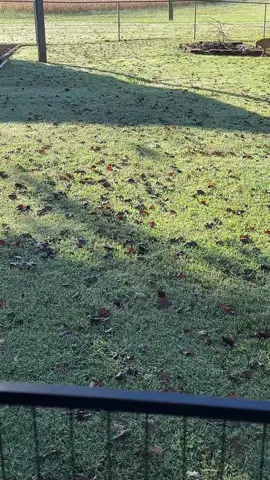 Awww Summers leaving!!! #SAD #fall #Summer #seasons 