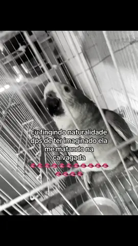 Conteúdo 🚨 #viral #fyp #sfd #paratiiiiiiiiiiiiiiiiiiiiiiiiiiiiiii #mulherdepreso🔓🕊👫💍 