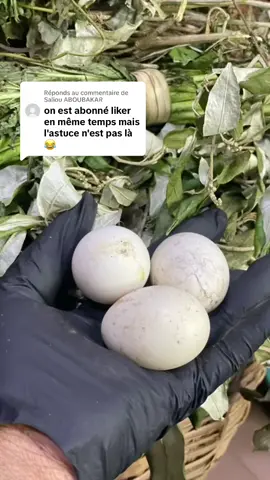 Réponse à @Saliou ABOUBAKAR 
