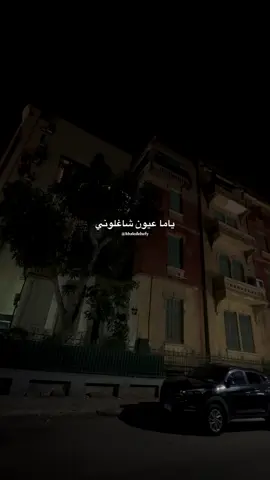 إلا عيونك إنت ❤️ #خالد_الصيفي #ام_كلثوم #سيرة_الحب #كوكب_الشرق #زمن_الفن_الجميل  @خـالـد | khaled 