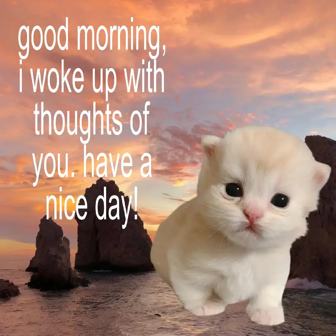 #relatable #relatablecontent #lovecore #streak #slideshow 