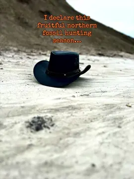 Well, it’s been fun. But once again the cold is setting in. And soon the lakes and streams will freeze, and snow will lay its shimmering veil. #dinosaurs #fossils #palaeontology #explorer #dinotok