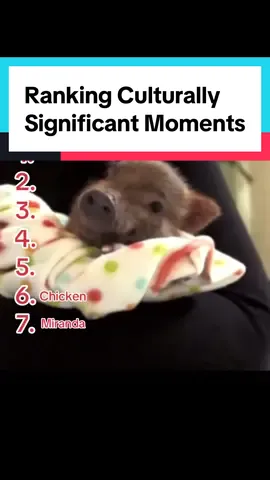 Homeboy’s gonna like get it 