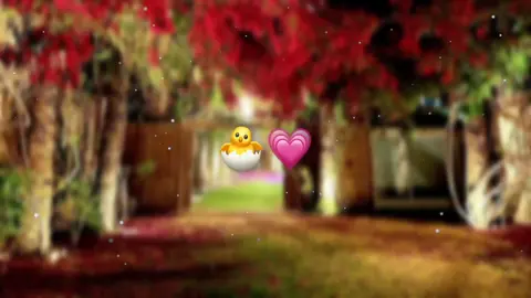 غنتيهالو ولا لسه لو مغنتيهاش منشنيلو بسرعه😂🐣❤🎀 كوتي كوتي 😂🎀🥹🐣 #اغاني #تصميمي❤️ #تصميم_فيديوهات🎶🎤🎬 #foryou #fyp 
