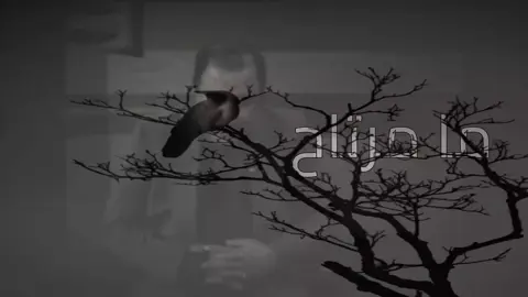 ما مرتاح 