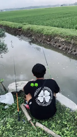 #tshirtsemanggi #sinister #fypシ゚ 