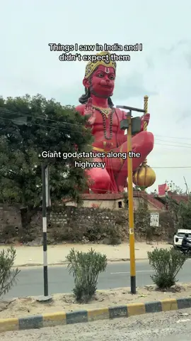 Every day there was something new to discover. And I’ve been to only one small part of the country. #expectationvreality #realitycheck #travellife #thingstodo #travelindia 