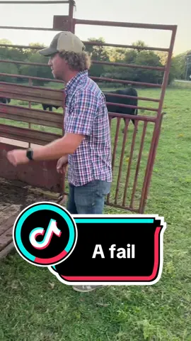 Enjoy this fail. Trying to show you our new cows but it’s just my kids fighting with the Bluetooth connected to my car 😂😂#farm #fail #cowsoftiktok #cowtok 