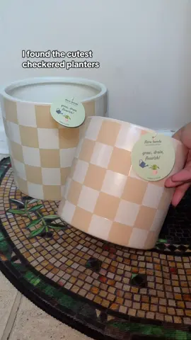 Set of 2 Beige Checkered Planters 🌱 #planter #moderndecor #checkered #elevateyourhome #fyp 