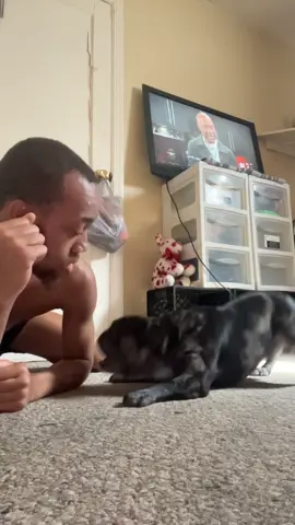 Having an emotional support animal is so fun and healthy ! 🤞🏾 he was really mad I didn’t wanna pet him 🤣#fypシ 