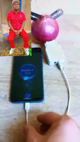 @creator search insights 