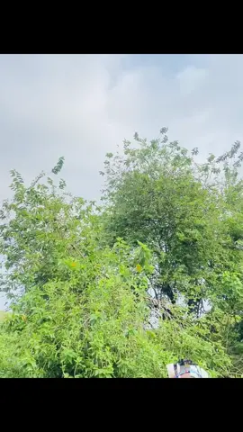 Ende Intombi Le ❤️🧎🏾‍♀️🙂‍↕️