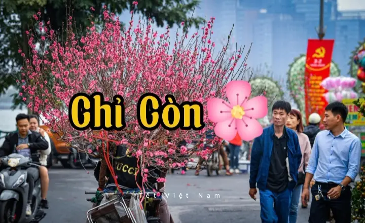 🎉🧧Hôm nay là Thứ Hai ngày 29/09/2025 Vậy là còn 93 ngày nữa là đến Tết Dương lịch  ( Tết Tây ) 2026🧨🧨🐎 #tettay #tet2026 #demnguocnammoi #tetbinhngo2026 #thanhthoiluottet 