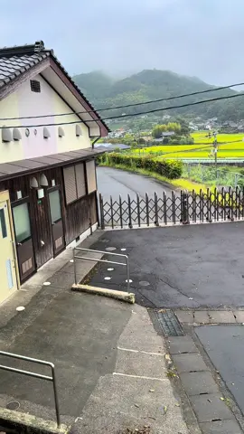 #japanvibe #ohayou #afterrain #fyp 