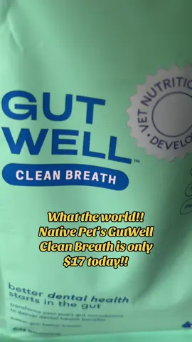 🐶 GutWell Clean Breath for Dogs 🐶 ⭐️ I'm a SAHM who shares the things l use and love. Join the community by following me and engaging with my content 👯‍♀️ ⭐️ #petsupplements #nativepet #doghealth #newarrivalssurge #creatorsearchinsights