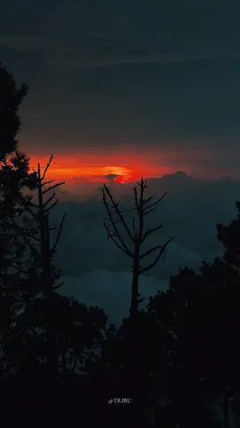 🥀🖤 #guatemalala🇬🇹 #volcanacatenango #sunset #vertigo 