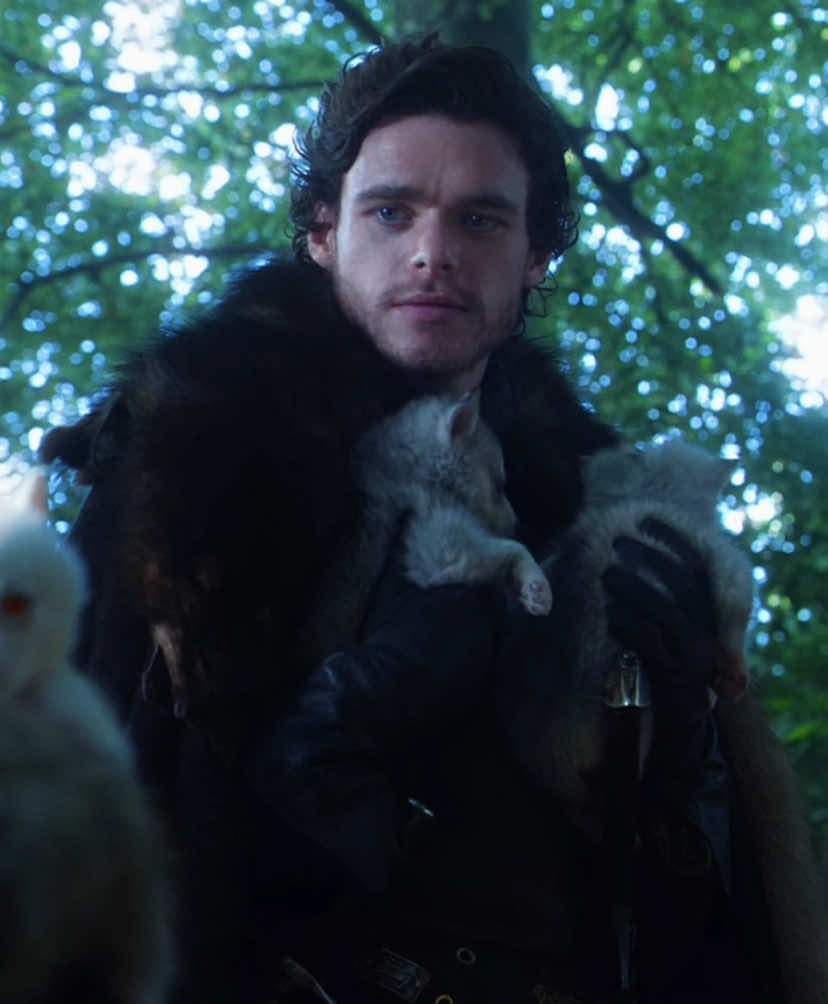 #ROBBSTARK nothing, was just thinking about robb stark in season one #gameofthrones #got #gameofthronesedit #fyp richardmadden gotedit housestark westeros gothbo jonsnow viral edit foryou robbstarkedit aryastark sansastark 