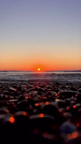 #natureemusic #relax #calm #nature #viral 