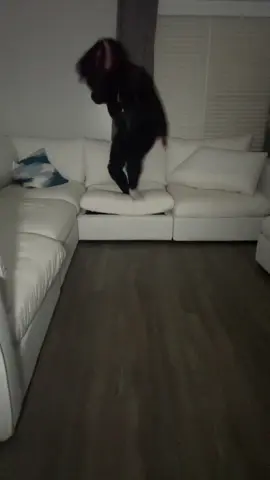 #michealjackson #trend #trendy #comedy #imbigbinky 