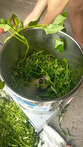 máy băm rau củ quả, chuối, đa năng chất liệu inox không rỉ công xuất 850w lõi đồng, bảo hành 12 tháng 