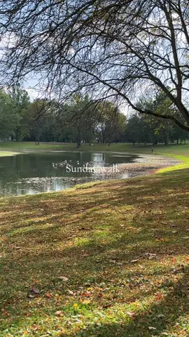 I just love this season 🤎🍂🍁 #cozyvibes #fallaesthetic #fallnature 