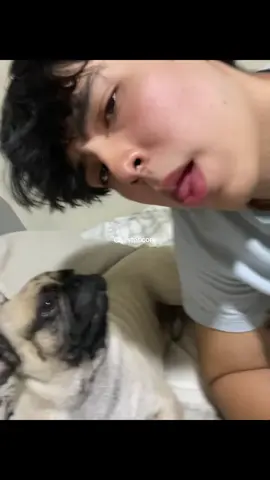 Video emotivo, gracias por todas las aventuras muchachos 🥹 #chesterchallenge #bananasenpijama #sigueme_y_te_sigo 