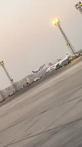 #🇪🇬 #fyp #aviation #cabincrew #fyppppppppppppppppppppppp 