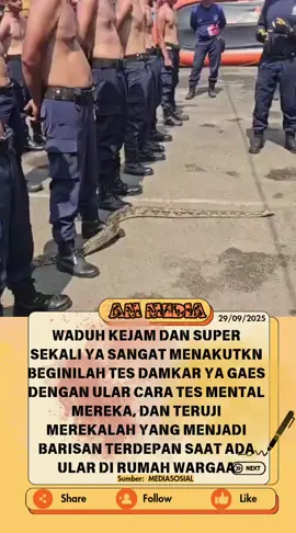 tes mental#tes #mental #ujian #damkar #keren #LIVEIncentiveProgram #LIVEStory #PaidPartnership 