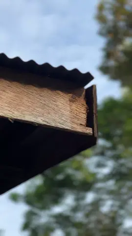 dikit² aja🤏🏼#mxking150 #foryou #fypppp 