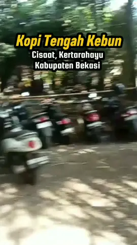 Kopi Tengah Kebun Cisaat , Kertarahayu Kabupaten Bekasi @mistaalfiansyah #kabbekasi #jawabaratistimewa #kdm #kangdedimulyadichannel #dedimulyadi 