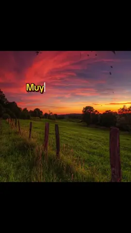 No todos tenemos las mismas oportunidades #lavidaesdura#paratii #musica#cancionesparahistorias 