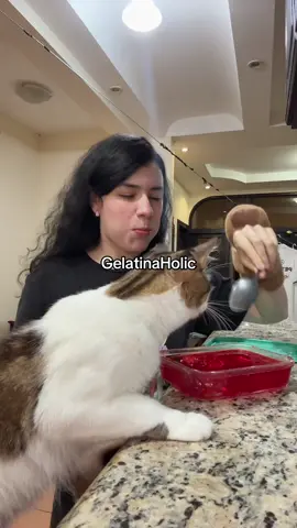#holic #gelatina #fyp #humor 