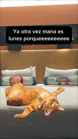 #Meme #MemeCut 