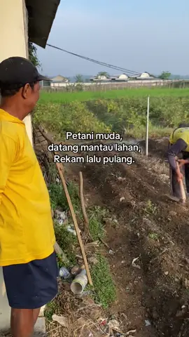 petani bagian dokumentasi 🙈#petanimuda #fyp #petanicabai 