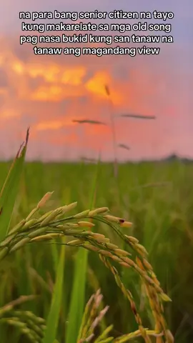 Ito yung view mo sa probinsya sabay nakikinig ng mga old songs na paborito ni papa #oldsong #nostalgic #memories #fyp #fyppppppppppppppppppppppp 