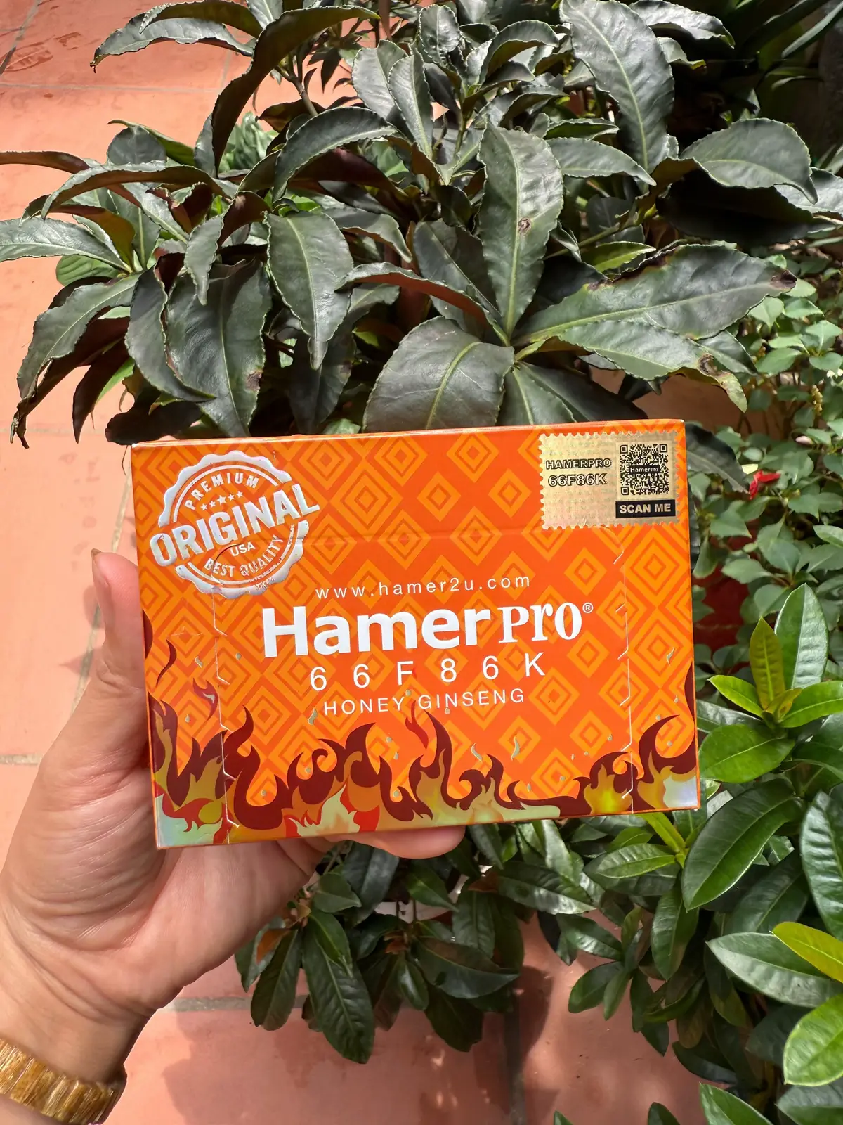 Kẹo Sâm Hamer Pro #hamer #samhamerusa #hamermatong #hamerpro #samhamerchinhhang 