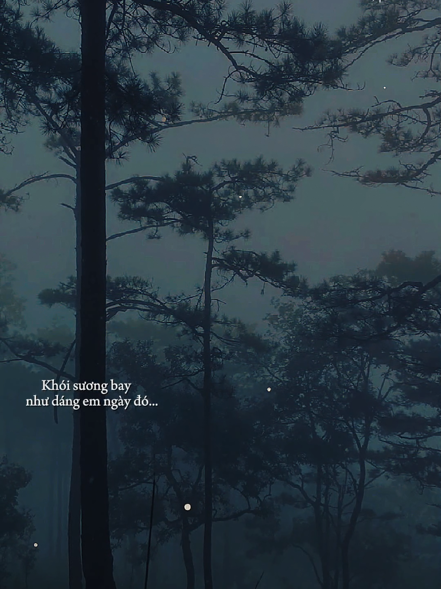 Khói sương bay như dáng em ngày đó chiếc áo len tay lạnh nép vào anh... [ Đà Lạt Còn Mưa Không Em ] #dalatconmuakhongem  #nhacbuontamtrang  #tramcamxuc💔  #maucapcut  #tramnhacc 