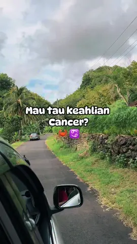 Terlihat cupu tapi ternyata aslinya suhu 😆 betul apa betul cancerian? 😋 #CapCut #cancerjuni #cancerjuli #fyppppppppppppppppppppppp #fyp 