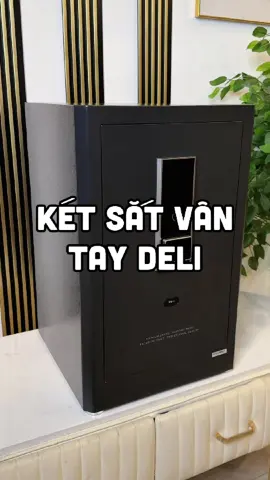 Két sắt vân tay cao cấp DELI