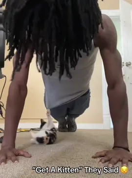 “Get a Kitten”they said #cat #funnycat #cats #funnyvideos #fyp 