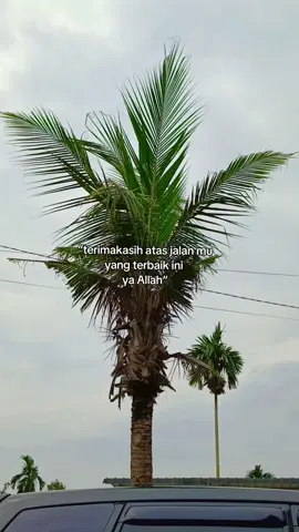 #creatorsearchinsights#fyppppppppppppppppppppppp #fyppppppppppppppppppppppp #bismillahfyp #fyppppppppppppppppppppppp 