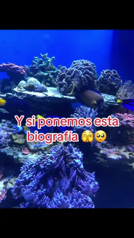 #❤️❤️❤️❤️🌹🌹🌹🌹☺️☺️☺️☺️☺️love #biografia #paratiiiiiiiiiiiiiiiiiiiiiiiiiiiiiii 